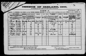 1901 census return